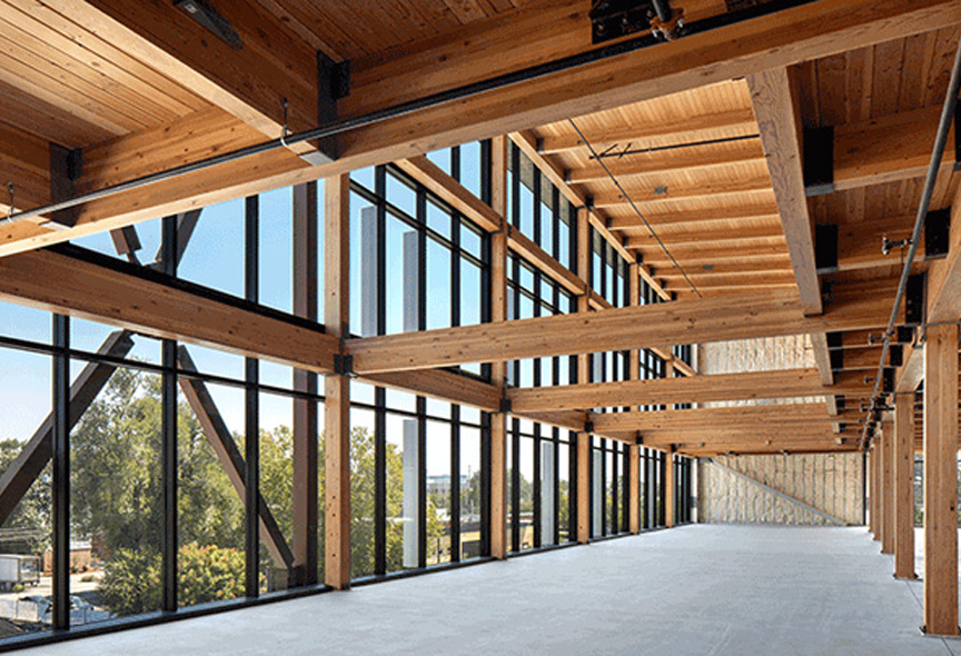 Stacks Image 731